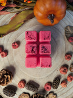 Juicy Strawberry Wax Melt Pack