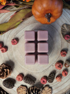 Café Oud Wax Melt Pack