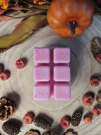 Pop Wax Melt Pack