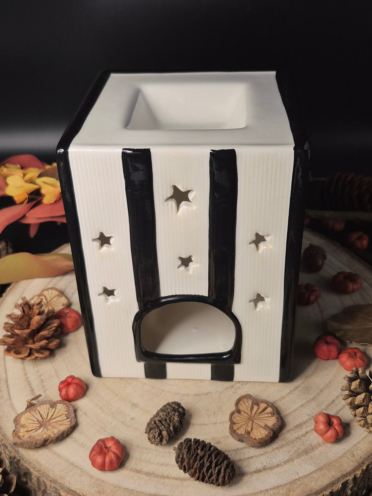 Black Cat Book of Spells Wax Melt Warmer