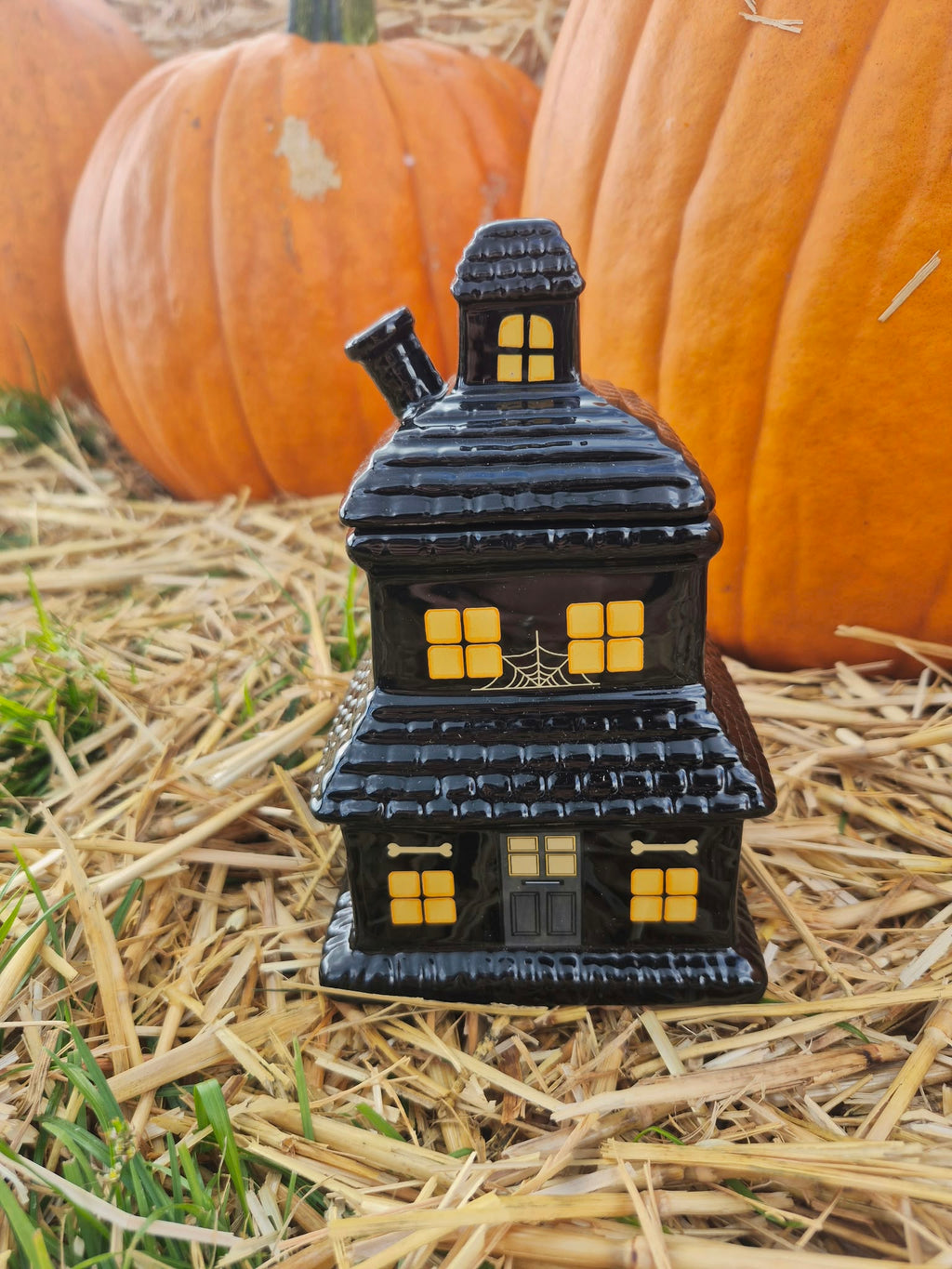 Black Haunted House Wax Melt Warmer