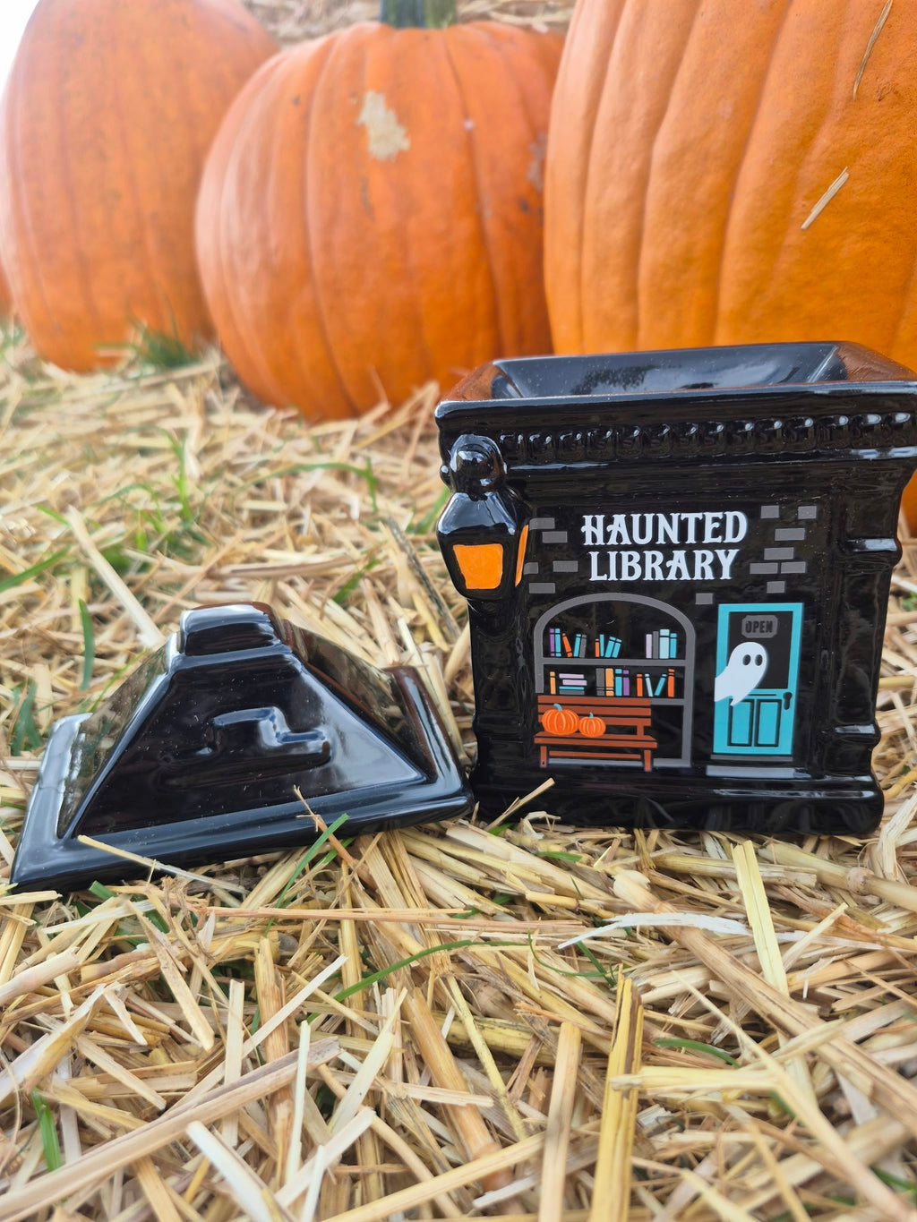 Haunted Library Wax Melt Warmer
